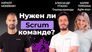 Превью: Почему Scrum буксует: взгляд Agile-коуча и менеджера | Организованное программирование  #47