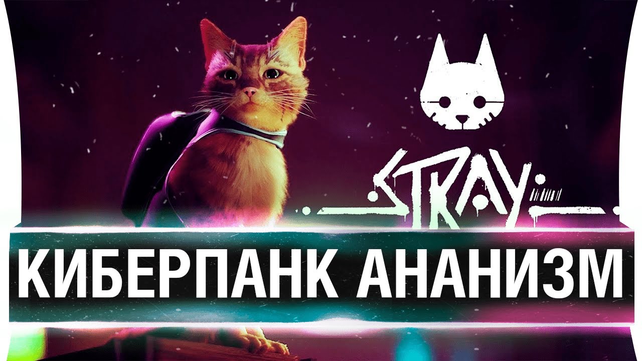 Ананальные страдания КОТА - STRAY