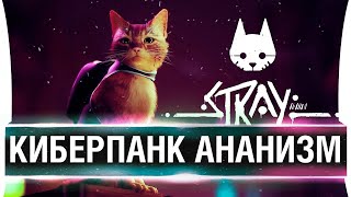 Превью: Ананальные страдания КОТА - STRAY