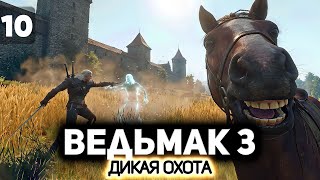 Превью: Допы. Сюжет подождёт ⚔️ Ведьмак 3: Дикая Охота [PC 2022] #10