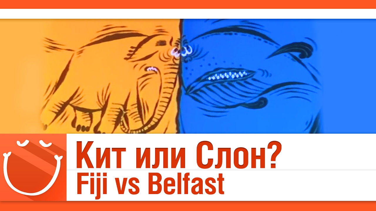 Кит или Слон? Fiji vs Belfast