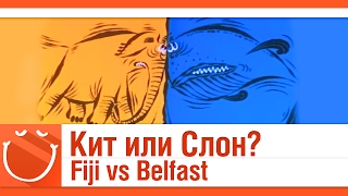 Превью: Кит или Слон? Fiji vs Belfast