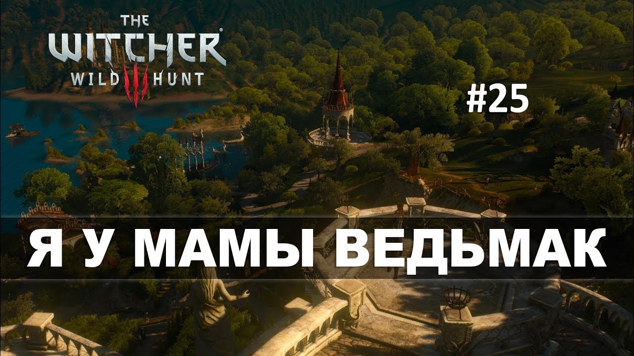 The Witcher 3: Wild Hunt (Прохождение на стриме) | Конец сюжета ВОТЭТОПОВОРОТ #25