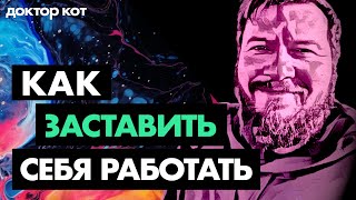 Превью: Окажусь под мостом, если не начну работать — но не могу. Как побить прокрастинацию — Доктор Кот