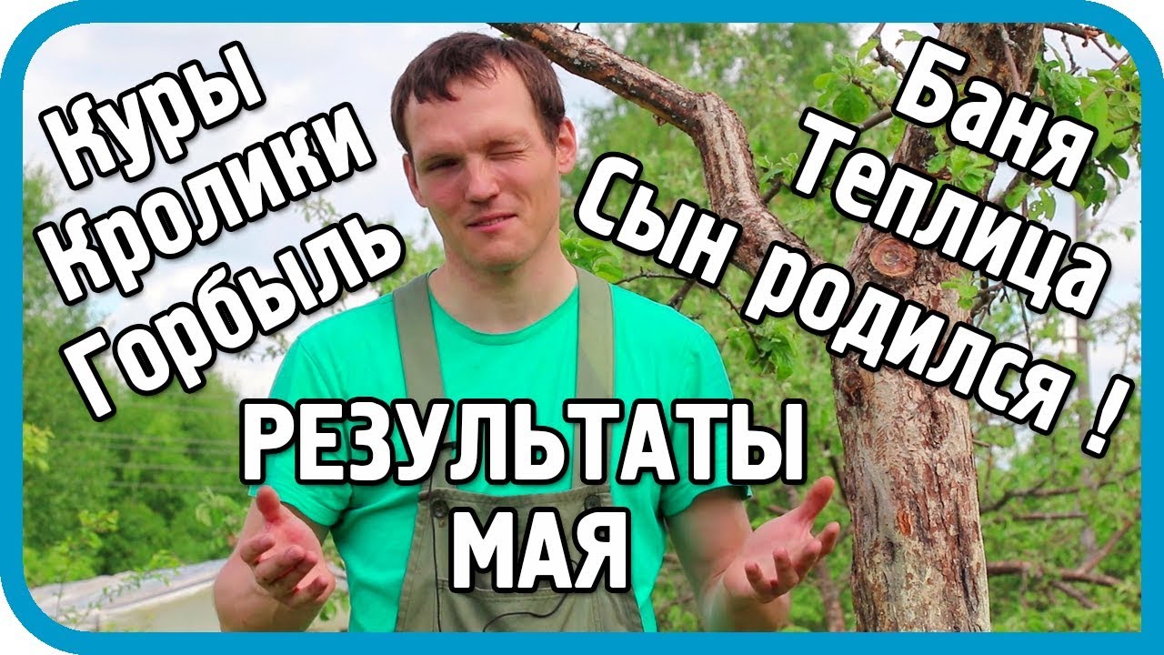 НАЕЗДЫ ДАЧНИКОВ, НАЛЁТЫ КОМАРОВ И НОВАЯ ЖИЗНЬ. Результаты мая 2018