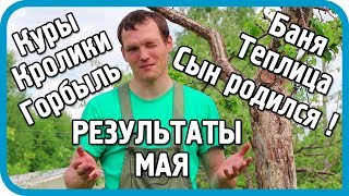 Превью: НАЕЗДЫ ДАЧНИКОВ, НАЛЁТЫ КОМАРОВ И НОВАЯ ЖИЗНЬ. Результаты мая 2018