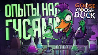 Превью: ЭКСПЕРИМЕНТЫ В ГУСЯХ, ПРОВЕРКА САМЫХ СТРАННЫХ ГИПОТЕЗ – Goose Goose Duck // ЭКСПЕРИМЕНТАЛЬНЫЕ ГУСИ