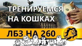 Превью: ВЫПОЛНЯЮ ЛБЗ НА ОБЪЕКТ 260