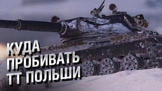 Превью: Куда пробивать ТТ Польши -  от LAVR и Evilborsh [World of Tanks]