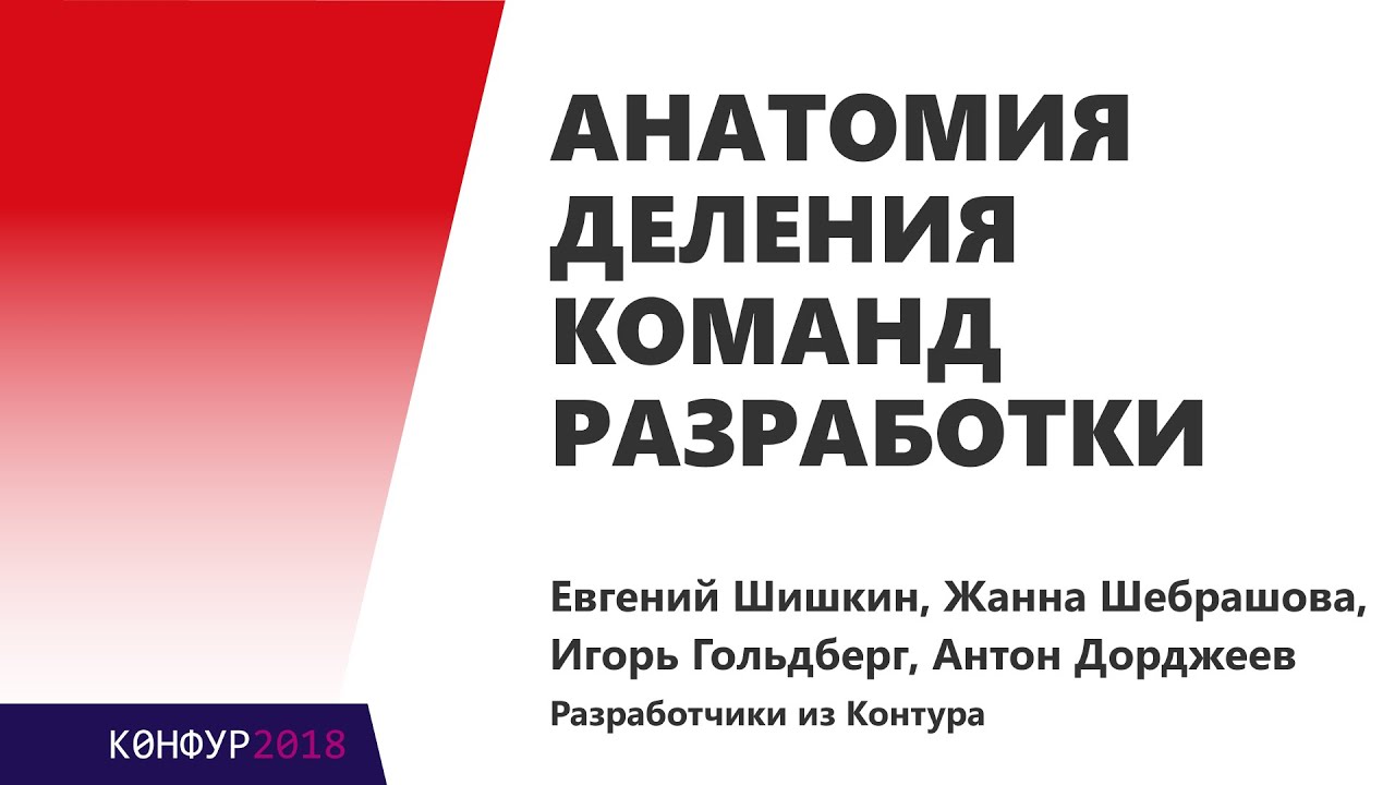 Анатомия деления команд разработки, Е. Шишкин, А. Дорджеев, Ж. Шебрашова, И. Гольдберг, Контур