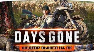 Превью: ПРОБУЕМ НОВЫЙ ШЕДЕВР НА ПК! ● RTX 3090 на Топовом Графоне ● Days Gone / Жизнь После