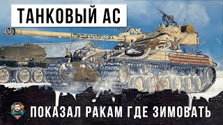 Превью: Танковый АС показал ракам где им нужно зимовать! Бойня в городе World of Tanks!