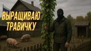 Превью: Dayz. Кое-что выращиваю #12