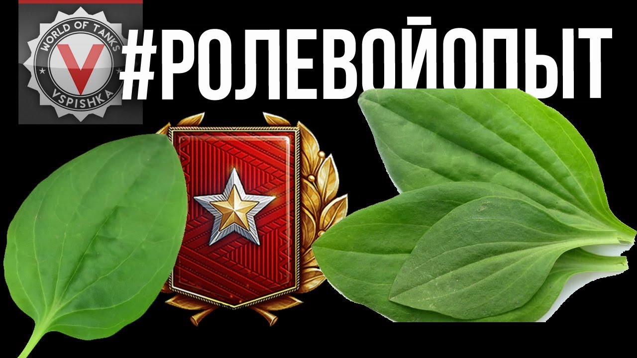 #РолевойОпыт не болей! [Ранговые бои] | World of tanks