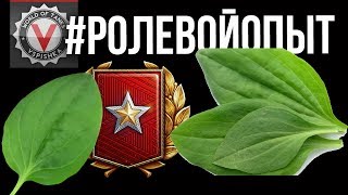 Превью: #РолевойОпыт не болей! [Ранговые бои] | World of tanks