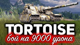 Превью: Tortoise ☀ Бой на 9000 урона ☀ Что творит эта черепаха