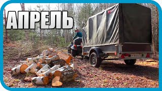 Превью: ПО-ТИХОМУ ЗАБРАЛ ДРОВА ПОКА ЛЕСНИК СПИТ. ПЕРВЫЕ КРОЛЬЧАТА! АПРЕЛЬ В ДЕРЕВНЕ