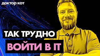 Превью: Почему же так трудно войти в IT — как учиться, как совмещать, что делать — Доктор Кот