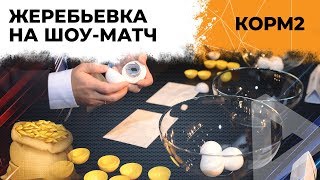 Превью: ЖЕРЕБЬЕВКА КОРМ2 НА ШОУ-МАТЧ