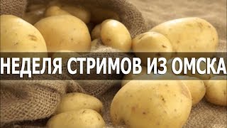 Превью: mozol6ka | Неделя стримов из Омска / День 3