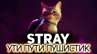 Превью: Котик. Котичек. Он такой милый и добрый 🐱 Stray