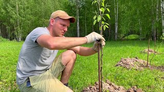 Превью: ПОСЛЕДНИЕ ПОДГОТОВКИ ПЕРЕД СТРОЙКОЙ! САД УЖЕ НЕ БУДЕТ ПРЕЖНИМ...