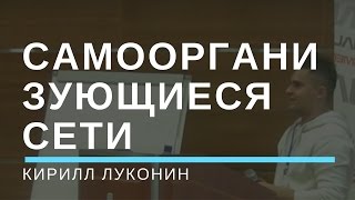 Превью: Беспроводные децентрализованные самоорганизующиеся сети