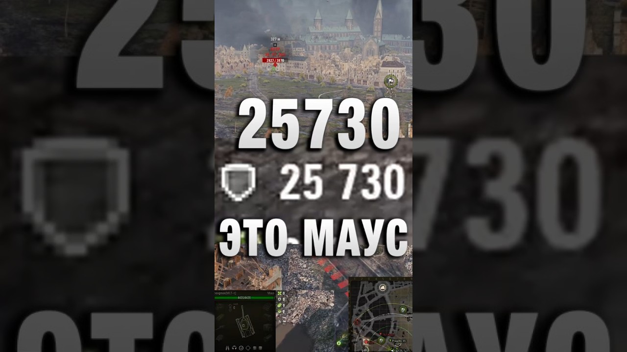 25730 ЗАБЛОКИРОВАНОГО! #вотпатруль #wot #worldoftanks