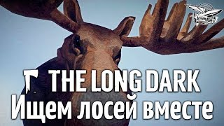 Превью: Стрим - The Long Dark - Ищем лосей вместе