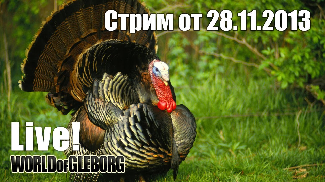 Стрим от 28.11.2013 - Жарим индейку