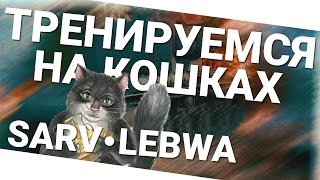 Превью: Тренируемся на кошках - Sarv и LeBwa!