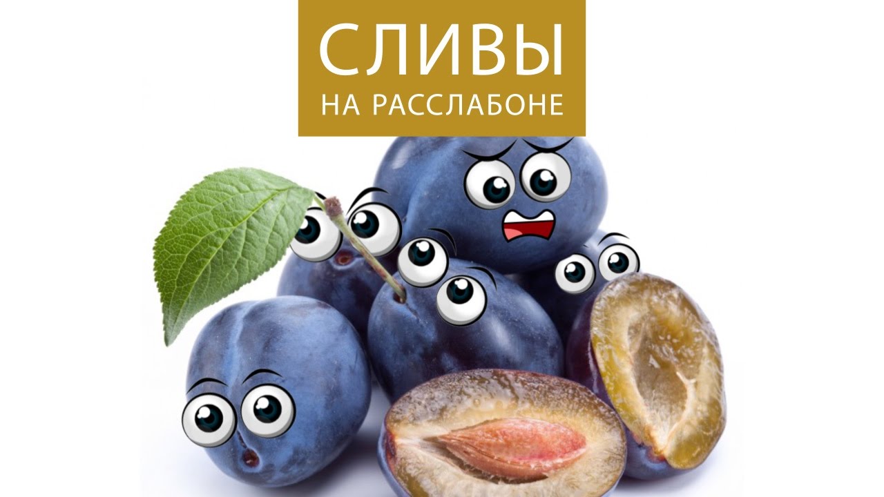 СЛИВЫ НА РАССЛАБОНЕ