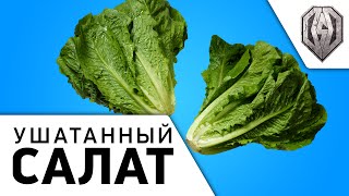 Превью: &quot;Ушатанный салат&quot;