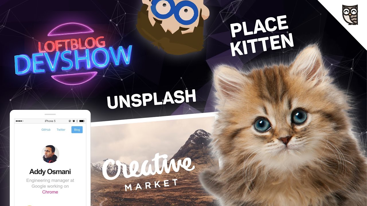 Котики, Creative Market, Стоян Стефанов и крутые JavaScript-фоны