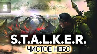 Превью: Левша и Рыжий лес. Выводы по игре ☢️ S.T.A.L.K.E.R.: Чистое небо [PC 2008] #3