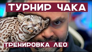 Превью: Вспышка и Леопард 1 / ТВП 50/51 / Центурион АХ. Тренировка к Турниру Чака - 6