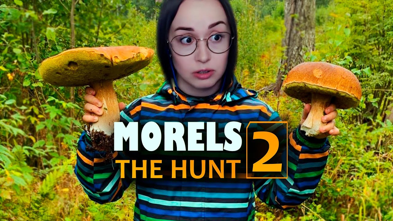 Morels: The Hunt 2 - ТЕСТИМ ИГРУ С ГРИБАМИ!