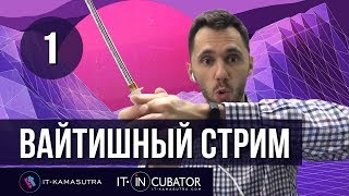 Превью: 01. Вайтишный стрим: как стать программистом, путь самурая, reactjs, обучение в инкубаторе