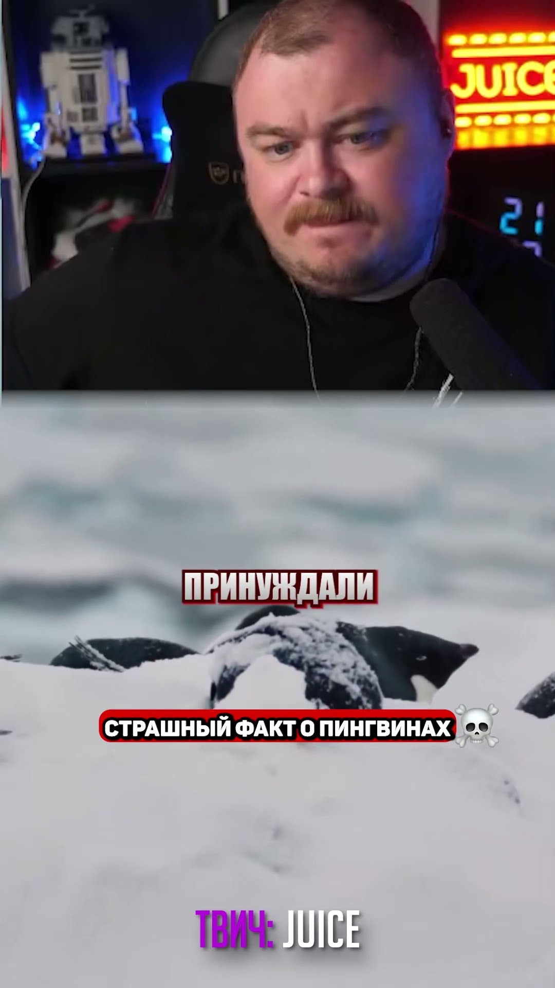 Превью: страшный факт о пингвинах