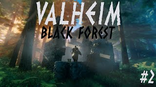 Превью: Valheim | Чёрный лес | #2