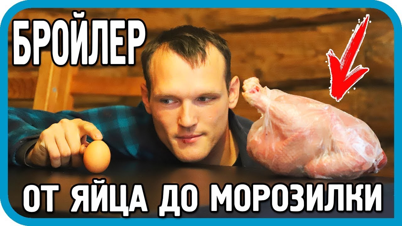 100 КГ МЯСА ЗА 90 ДНЕЙ! ЭКСПЕРИМЕНТ ЗАВЕРШЁН!