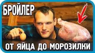Превью: 100 КГ МЯСА ЗА 90 ДНЕЙ! ЭКСПЕРИМЕНТ ЗАВЕРШЁН!