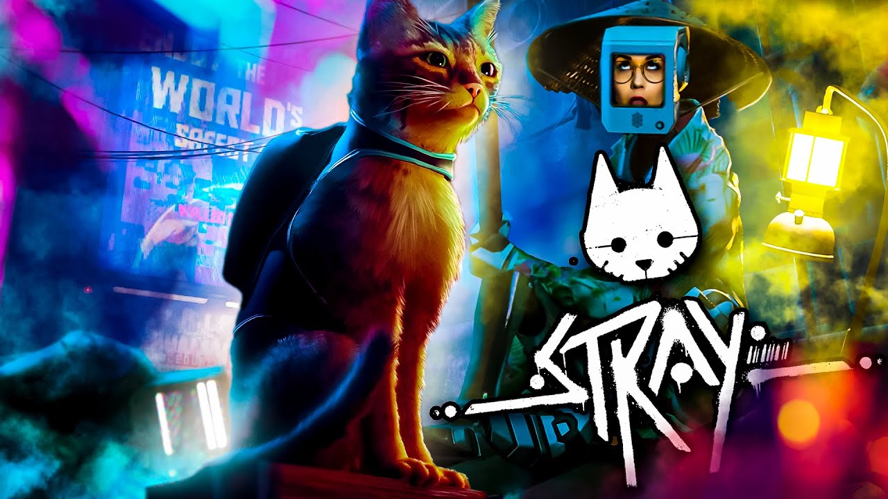 Я ЕСТЬ КОТ!😺Stray😺