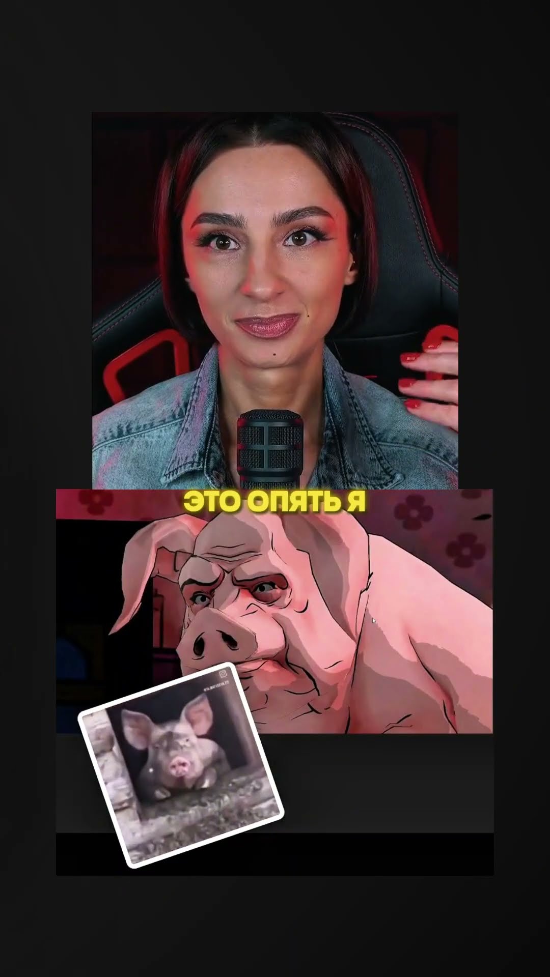 Превью: ПОЧЕМУ ОПЯТЬ СВИНЬЯ?!