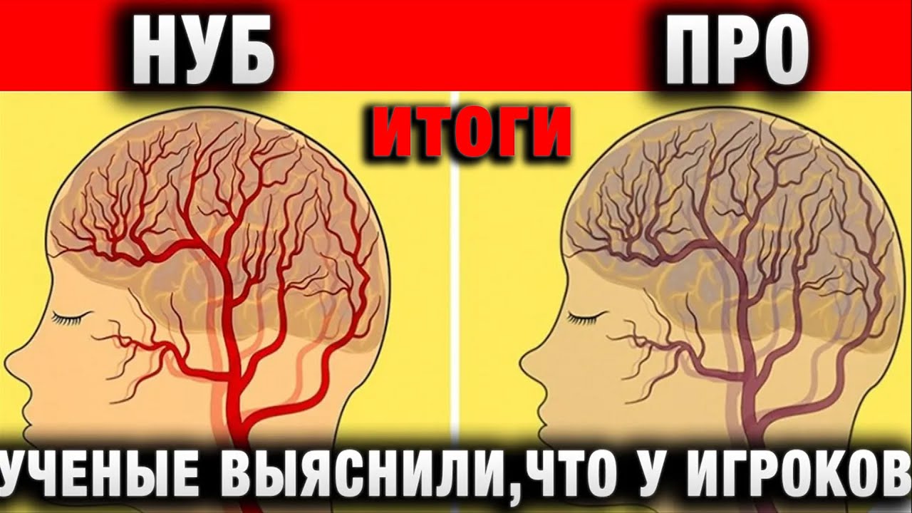 УЧЕНЫЕ ВЫЯСНИЛИ, ЧТО У ИГРОКОВ С ФИОЛЕТОВОЙ СТАТИСТИКОЙ итоги