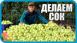 Превью: СКОЛЬКО ПОЛУЧИТСЯ СОКА ИЗ БОЧКИ ЯБЛОК?