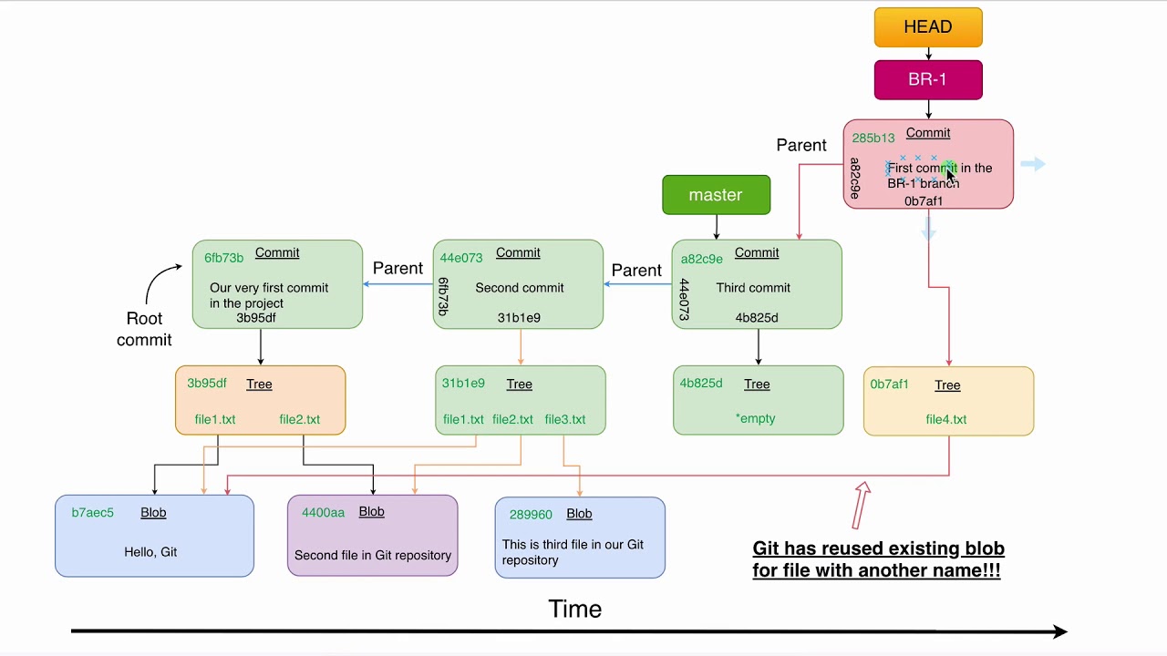 Git branches and Git HEAD: 64 Git reuses blobs with the same contents